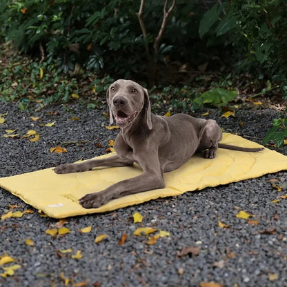 Waterproof Dog Bed DeepRest Portable Foldable Pet Mat,