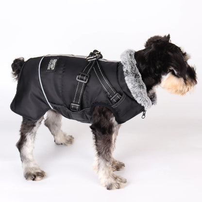 Waterproof Dog Coat Winter Orveny 