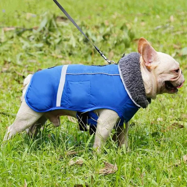 Waterproof Dog Coats Elvor Reflective and Padded-.
