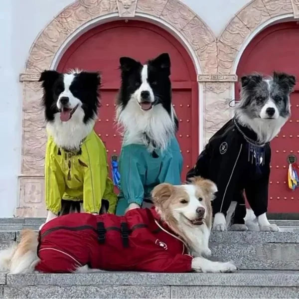 Waterproof Dog Coats Lior Reflective
