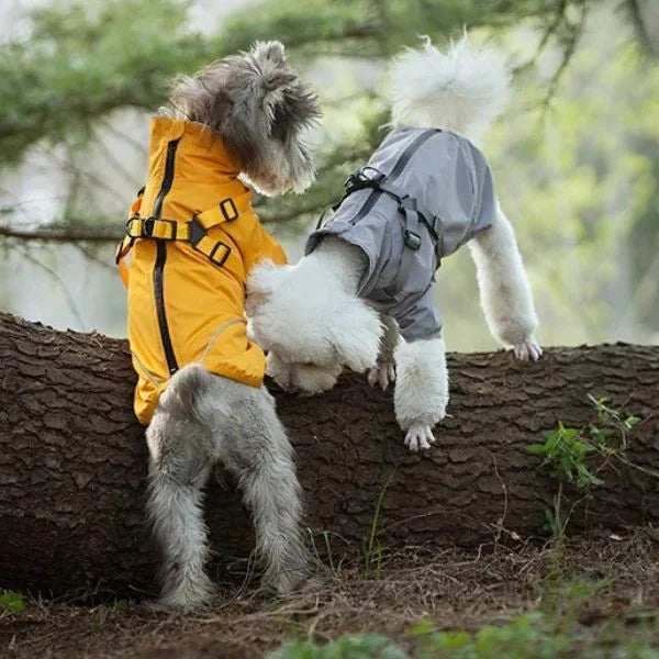 Waterproof Dog Coats Solvik