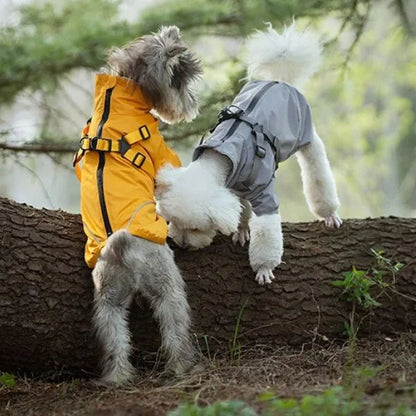 Waterproof Dog Coats Solvik