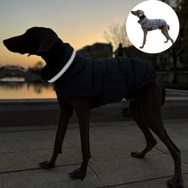 Waterproof Dog Coats Sovereign Protection with Presence.