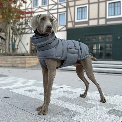 Waterproof Dog Coats Sovereign Protection with Presence.