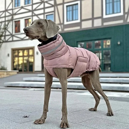 Waterproof Dog Coats Sovereign Protection with Presence