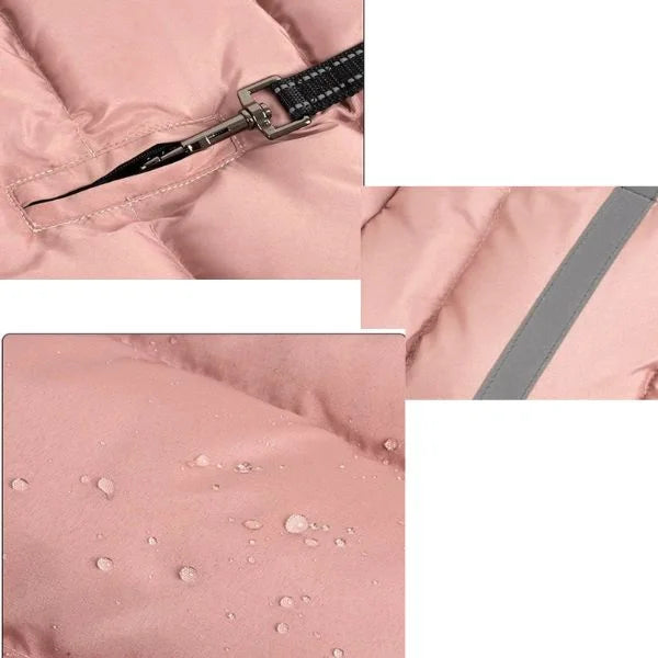Waterproof Dog Coats Sovereign Protection with Presence