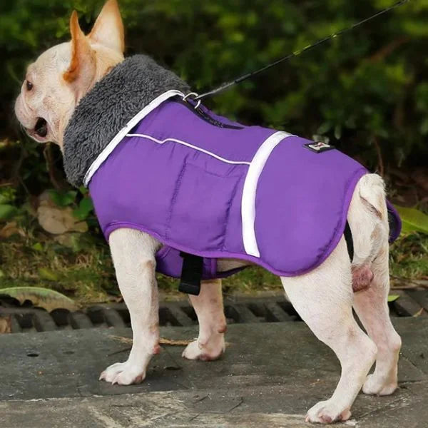 Waterproof_Reflective-and-Padded-CoaT for dogs.Purple