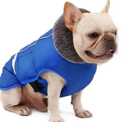 Waterproof_Reflective-and-Padded-Coat for-Dogs-blue+,