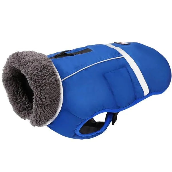 Waterproof, Reflective and Padded Coat for Dogs-Blue