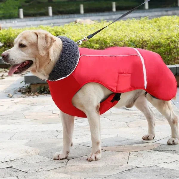 Waterproof, Reflective and Padded Coat for Dogs-Red