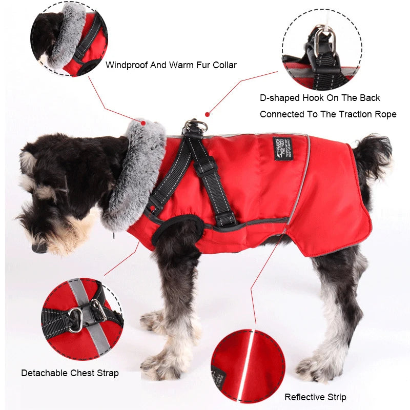 Waterproof Winter Dog Coat with Detachable Harness and Fur Collar~-