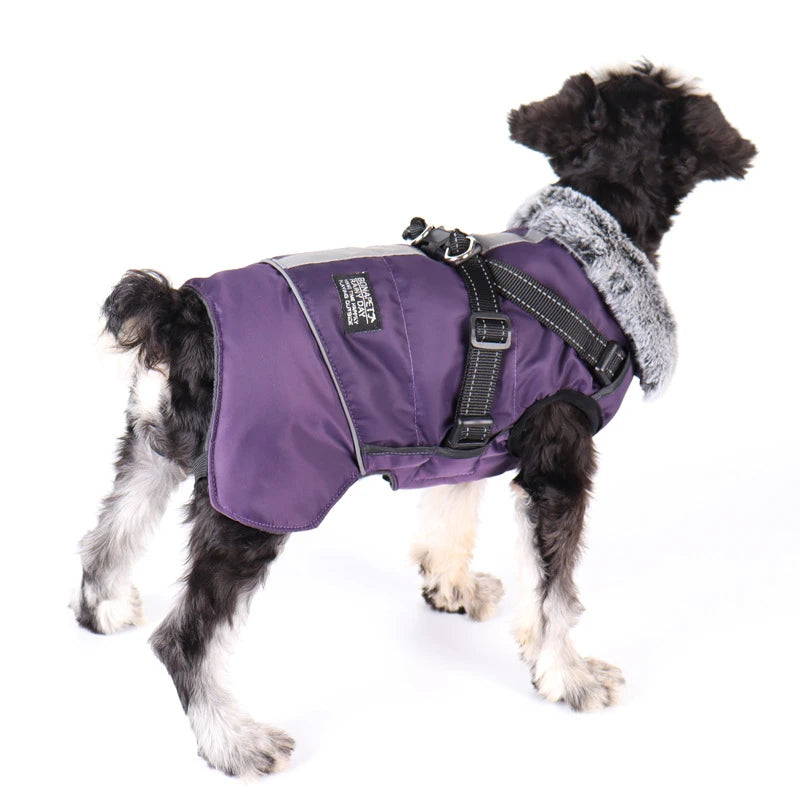 Waterproof Winter Dog Coat with Detachable Harness and Fur Collar.xr