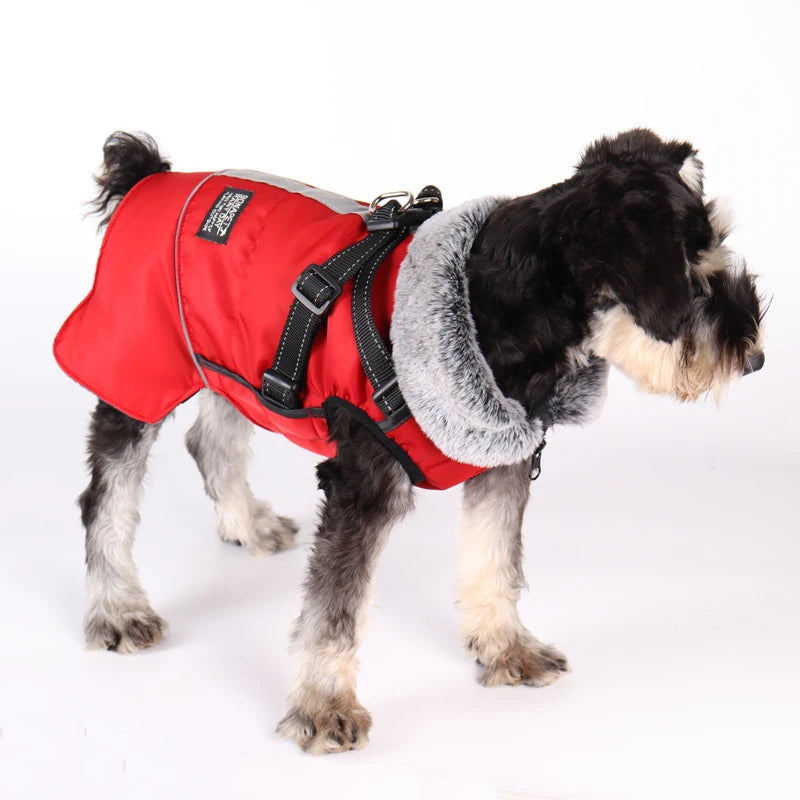 Waterproof Winter Dog Coat with Detachable Harness and Fur Collar.ev