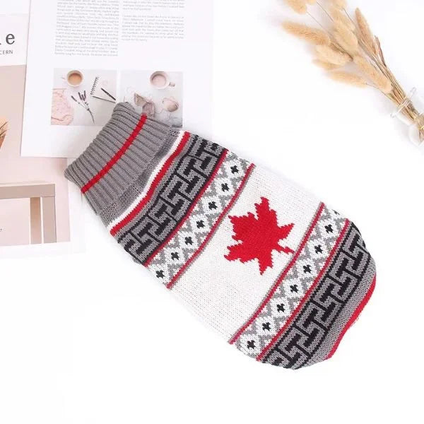 dog christmas jumper