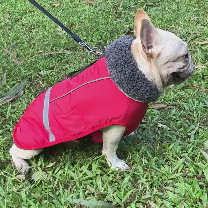 Waterproof Dog Coats Elvor Reflective and Padded.,-