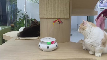 Electric Cat Toy  Interactive Butterfly with Realistic Motion