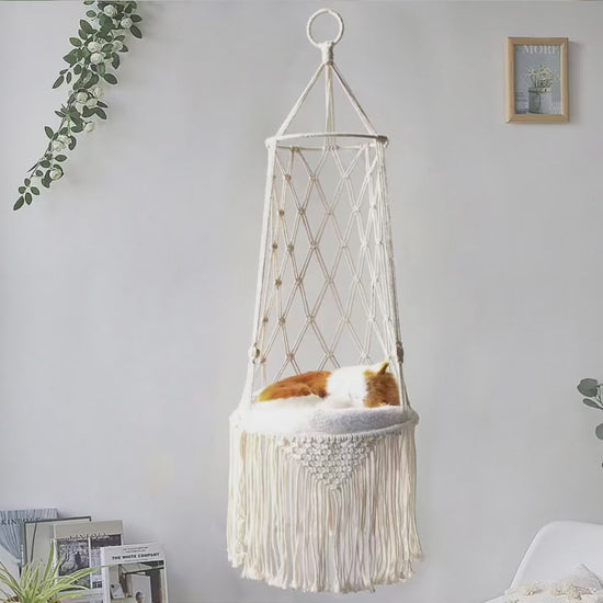 Cat-Bed-Cat-Hammock-video
